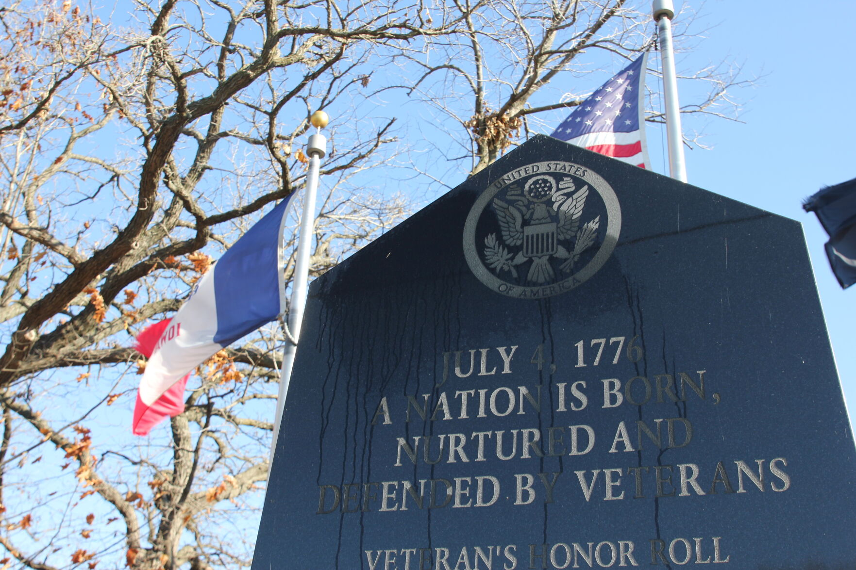 IF_Veterans_Day_2020 (3).JPG